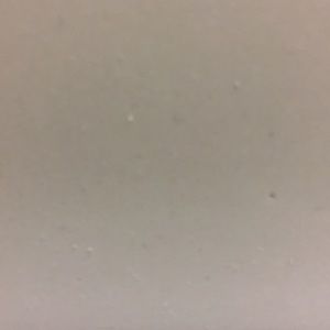 Meet your Posher, Sherrie